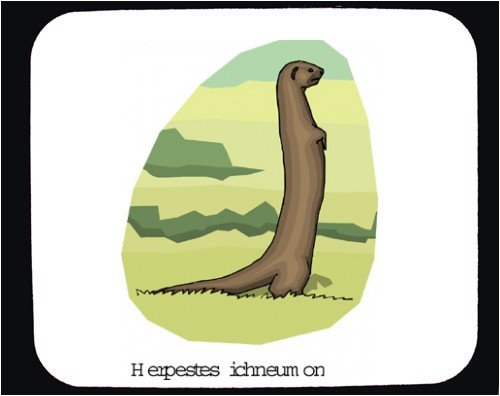 Mouse Pad with ichneus, mongoose, rodent, gopher, africa, herpestes