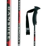 Dynastar Banshee Ski Poles 50 in NEW