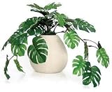 光触媒 アートフラワー モンステラ 観葉植物 インテリア グリーン 造花