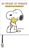 Oh Friends of Friends: A Peanuts Box of Friendship (Ubox Kits)