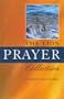 The Lion Prayer Collection (Lion Collection)