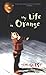My Life in Orange