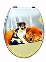 WC-Sitz Toilettendeckel Klodeckel Hund und Katze Motiv