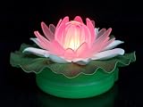 Floating Color Changing Water Lily - B001BNVWI4