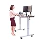 LUXOR Standup-CF48-DW Stand Up Desk, Crank Adjustable, 48"