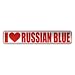russian blue - 