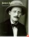 James Joyce (Literary Lives Series)