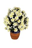 Review i-koncepts Ltd  / 3ft Flowering Zebra Plant with Natural Stem - Pale lemon - Artificial Plant