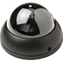 CSI/SPECO CVC-385TP B/W Vandal-resistant Dome Camera with Fixed Lens