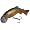 02 Rainbow Trout