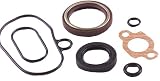 Beck Arnley  039-6351  Oil Pump Install Kit