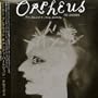 Orpheus the Lowdown