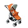 Bumbleride Flyer Stroller - Spice