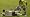 FIFA 06: Road To Fifa World Cup (Xbox 360)