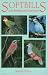 Softbills: Care, Breeding and Conservation
