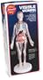 Visible Woman Kit