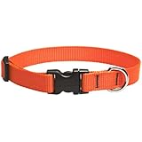LupinePet 3/4-Inch Blaze Orange 9-14-Inch Adjustable Dog Collar for Small to Medium Dogs
