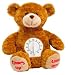 Time's Up/Time Out - Bear Image