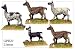Foundry General Purpose: Llamas (5)