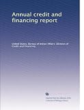Annual credit and financing report