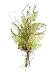 Pack of 6 Country Botanical Artificial Queen Anne's Lace Foliage Sprays
