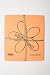 Skoy cloth, Mixed colors w/ flower (4-pk)