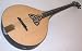 Search: LUNA Trinity Acoustic/Electric Bouzouki with Celtic Inlay, Solid Spruce Top, Solid Maple Back, Active Pickup with 3 Band EQ, BGBZ EL TRI and TMS Polishing Cloth