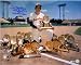 Brooks Robinson Autographed/Hand Signed Baltimore Orioles 16x20 Photo with 16x Gold Glove Inscriptio