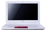 Acer Aspire AOD270-BALLOON - Ordenador port�til 10.1 pulgadas (1 GB de RAM, 1.6 GHz, 320 GB, Windows 7 Starter) - Teclado QWERTY espa�ol