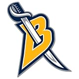Buffalo Sabres NHL Hockey sticker 4" x 5"