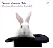 Yaron-Follow the White Rabbit
