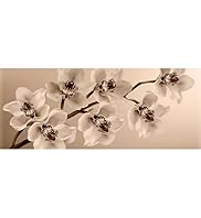 Orchid Branch Wall Art