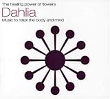 The Healing Power Of Flowers - Dahlia