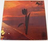 Parachute [Vinyl]