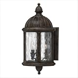 Capitol Outdoor Wall Lantern in Forum Bronze