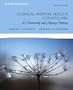 Clinical Mental Health Counseling in Community and Agency Settings (3rd Edition)