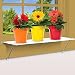 Window Plant Shelf