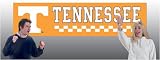 Tennessee Volunteers 8 Ft. x 2 Ft. Applique Banner