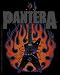 Pantera - Dimebag Guitar - Sticker / Decal