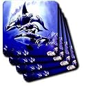 Whales - Killer Whale - Coasters