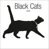 Black Cats 2009 Calendar