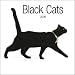 Black Cats 2009 Square Wall Calendar