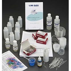 Making and Modeling Polymers Kit