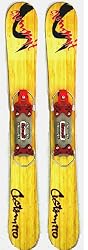 Summit Custom 110cm Skiboards Snowblades w. Bomber Bindings 2012