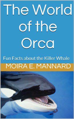 The World of the Orca: Fun Facts about the Killer Whale