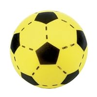 großer Softball Fußball aus