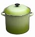 Kitchen & Housewares : Le Creuset Enamel-on-Steel 8-Quart Covered Stockpot, Kiwi