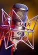 Neumann M147 Cardioid Tube Condenser Microphone