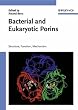 Bacterial and Eukaryotic Porins: Structure, Function, Mechanism