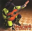 Mi Guitarra y Yo